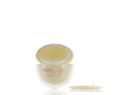 APS/PS, Lip Makeup Case with Soft Applicator and Mirror
