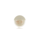 APS/PS, Lip Makeup Case with Soft Applicator and Mirror
